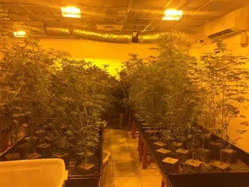 纽约夜晚的神秘蓝光,纽约奇异蓝光笼罩夜空外星人降临