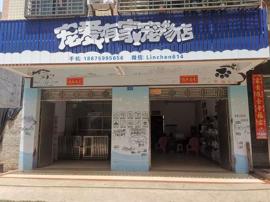 湛江徐闻宠物店,徐闻宠物店招聘