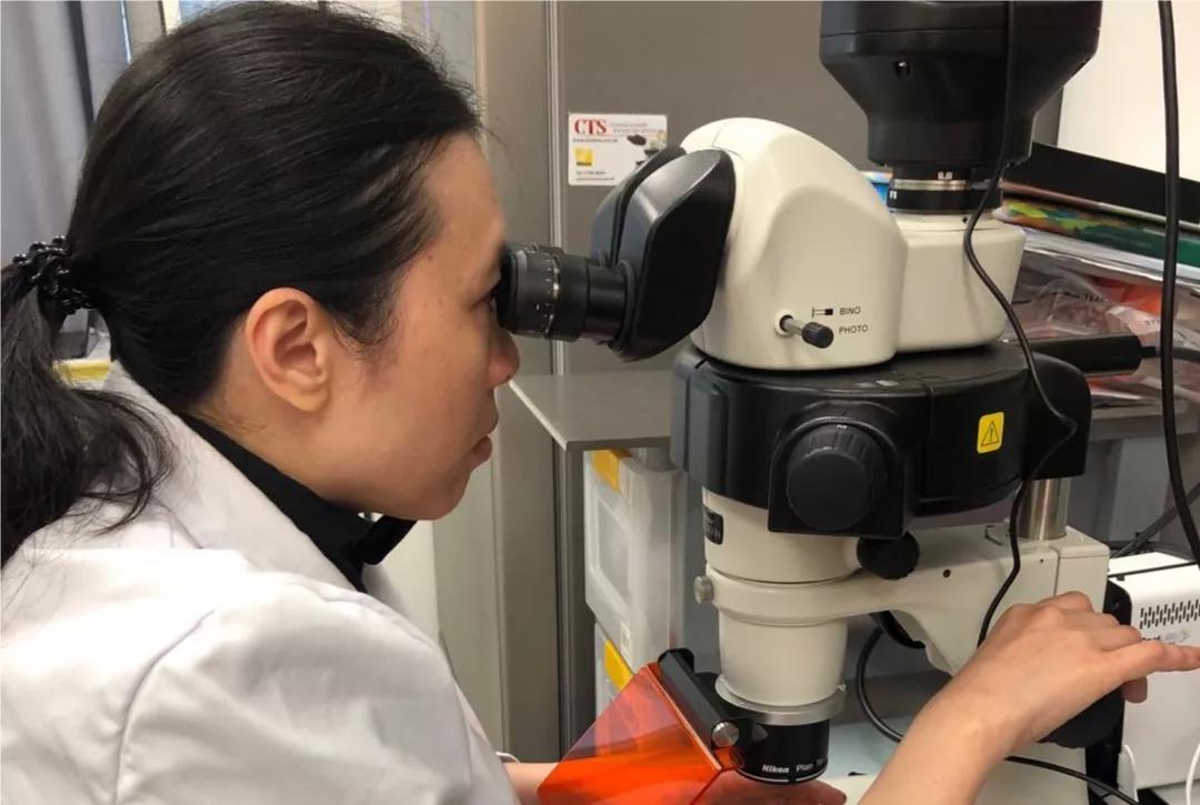 水中银小鱼亲测权威吗,水中银小鱼亲测价格