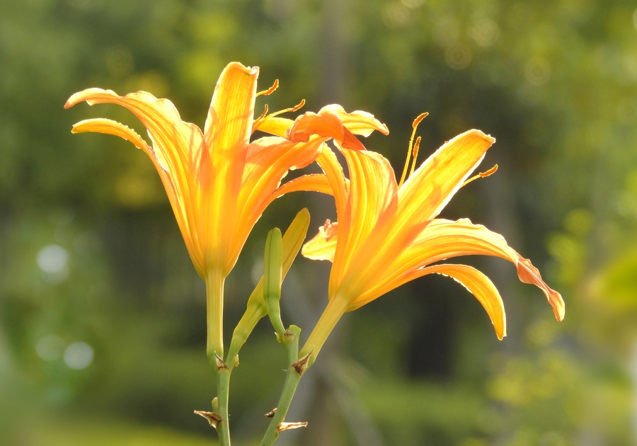 照片看起来很暗怎么办,照片发暗怎么调