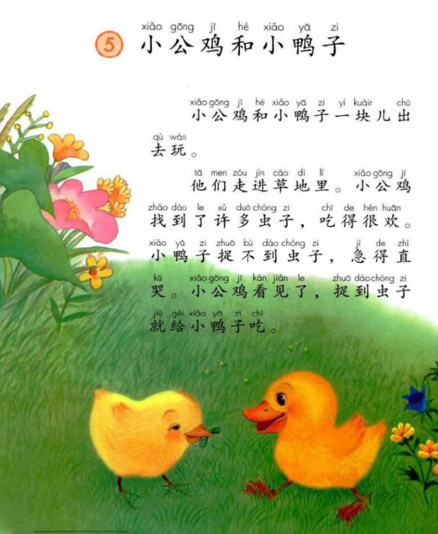 一年级课文小公鸡和小鸭子重点,一年级语文下册小公鸡和小鸭子