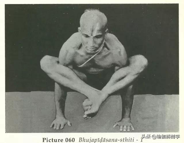 世界瑜伽大师,瑜伽大师为什么都是男的