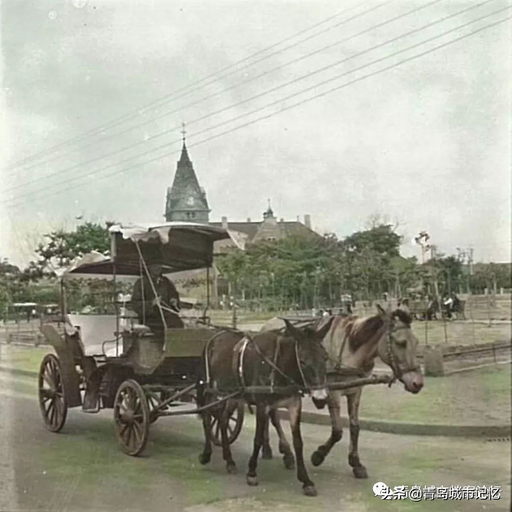 青岛八大风景区都有哪,青岛最美的十大公园