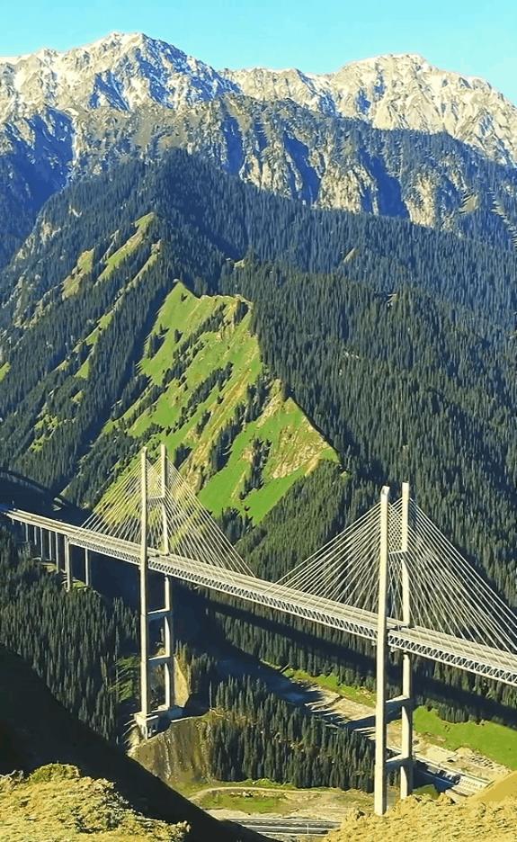 如果你不了解现实你就去看历史,如果你不了解历史就无法展望未来