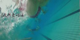 自由泳划水和打腿不协调怎么解决,自由泳想怎么游就怎么游