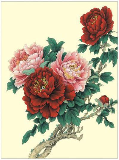 工笔牡丹勾线画法,工笔牡丹十二品设色步骤