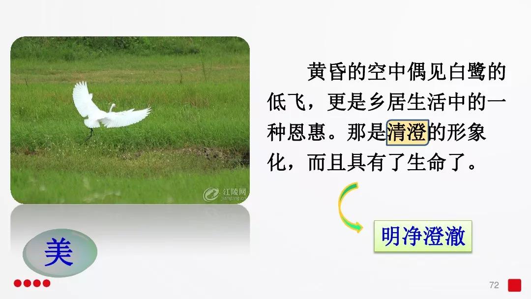 五年级部编版语文白鹭讲课视频,部编小学语文五年级上册白鹭课件