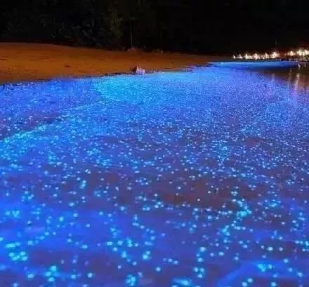 惠州双月湾君廷度假酒店两房一厅,双月湾君廷度假酒店399是什么房