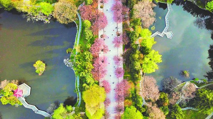 合肥最宜居小区,合肥最宜居的板块