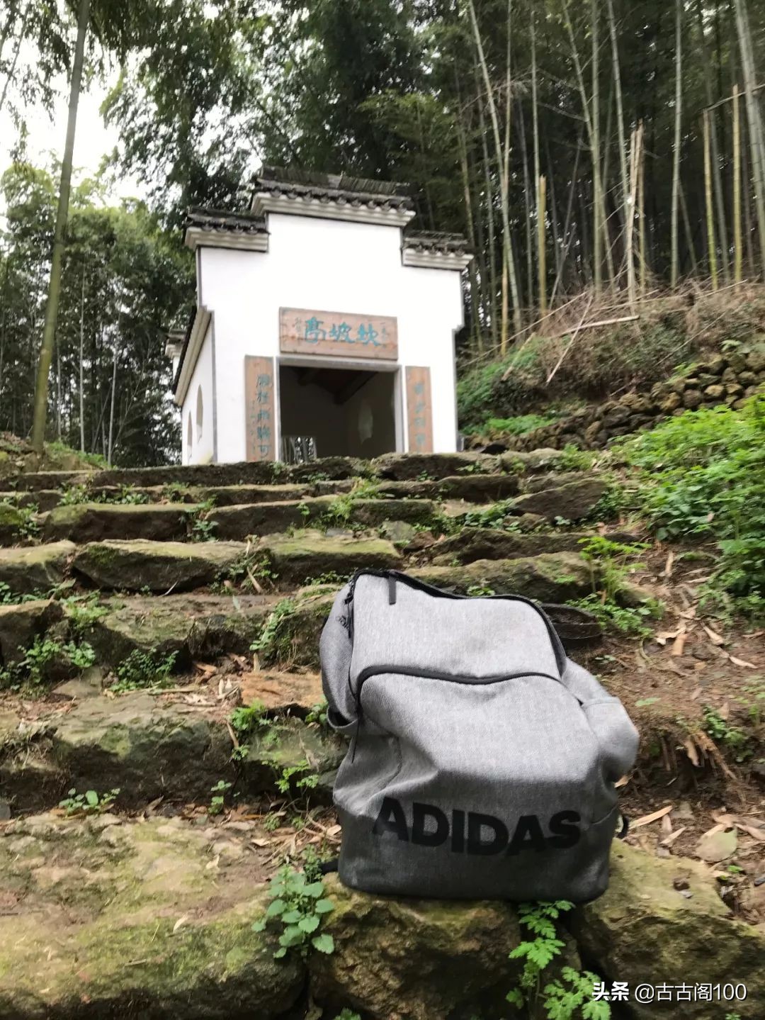 萧绍古道完整版,萧绍古道高度