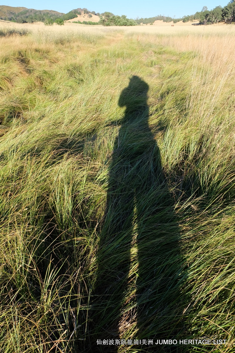 第3034回：无风雨不知花可惜，无患难不知人可谋