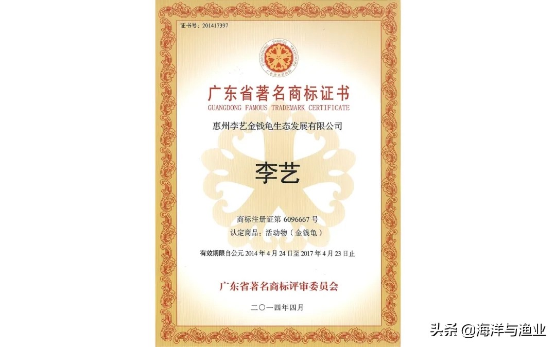 李艺全球人工繁殖金钱龟第一人,广东惠州博罗李艺金钱龟养殖基地