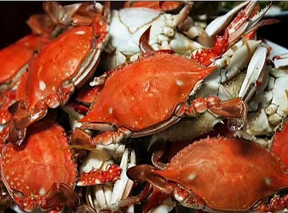 辽宁省内的葫芦岛市简介,辽宁省葫芦岛市各区