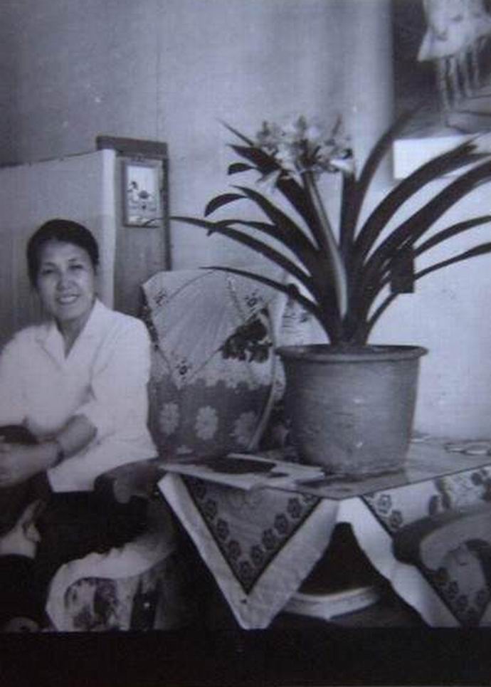 东北君子兰炒作事件,八十年代炒作君子兰