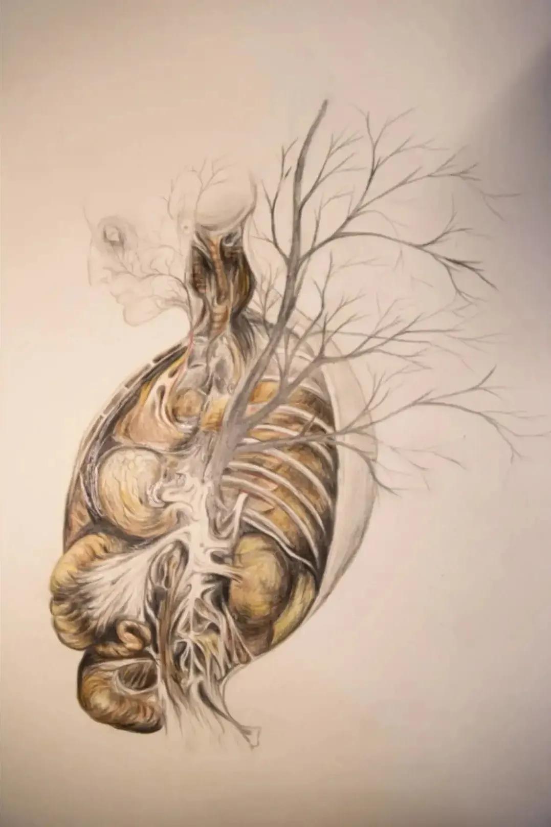 左手丹青,右手手术刀,985名校医学生笔记曝光!网友:这是学神级别的!