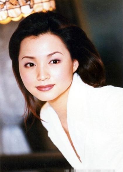 董卿中文有多美完整版,董卿有多好看