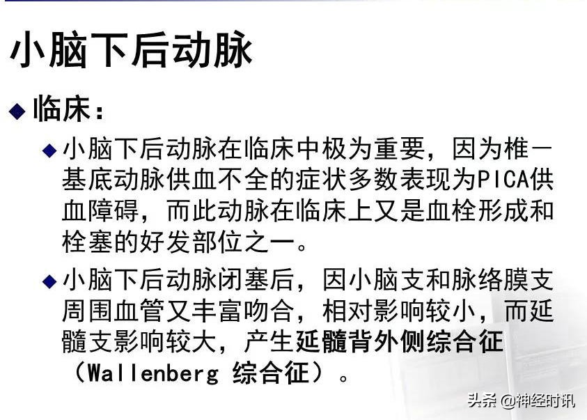 脑动脉解剖学讲解,脑膜中动脉解剖讲解