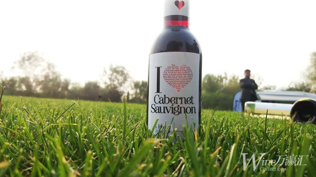 阿根廷阿泰斯马尔贝克红酒,阿根廷的葡萄酒怎么样