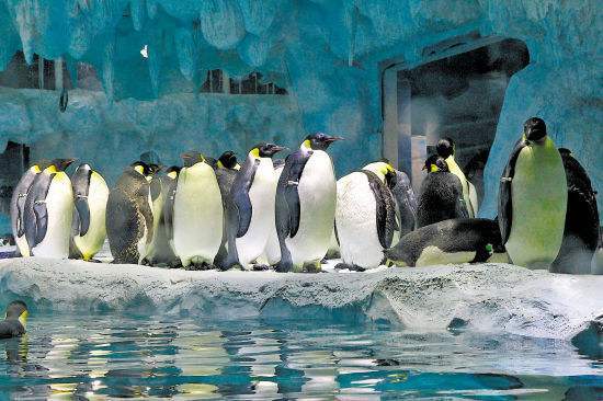 珠海长隆海洋王国全面游玩攻略,珠海长隆海洋王国游玩攻略和价格