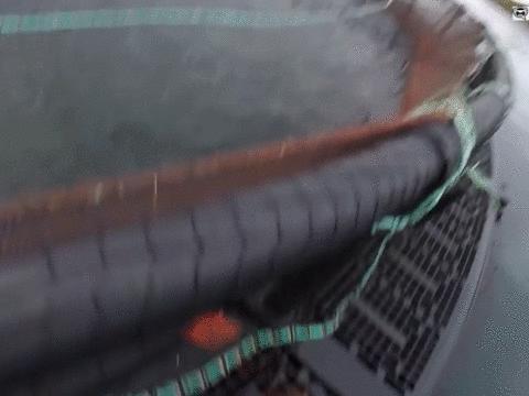 外媒曝光了挪威三文鱼养殖真相吗,最毒的深海三文鱼