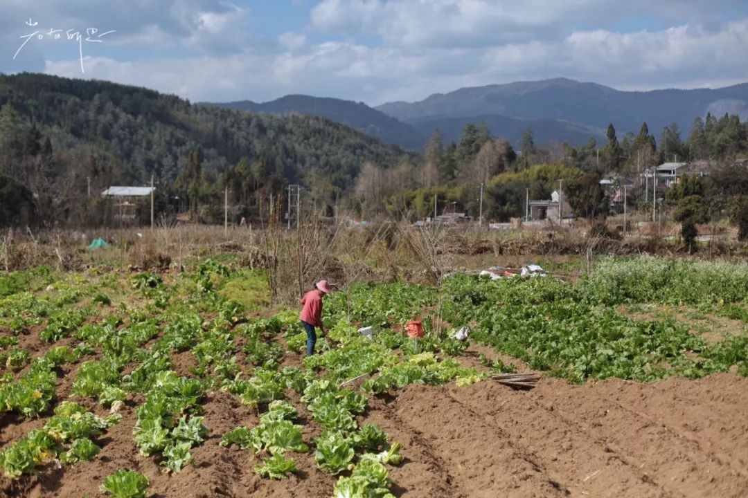 极边之城腾冲,来这里必做的八件事,否则白来了