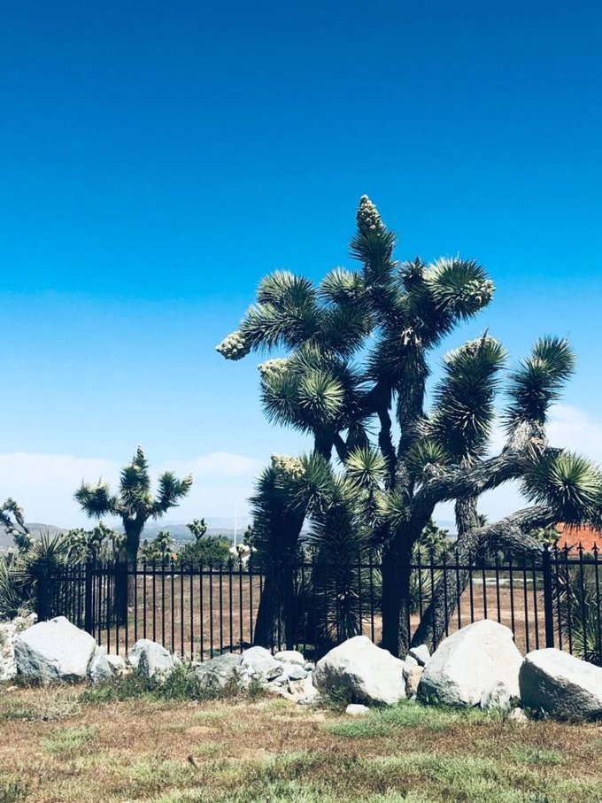 美国自由行加州洛杉矶之旅,美国洛杉矶20天旅游线路