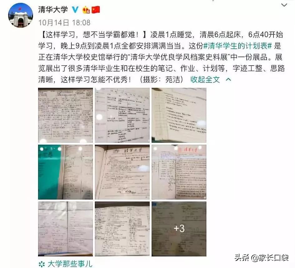 鸡娃日常规划假日,鸡娃计划表完整版