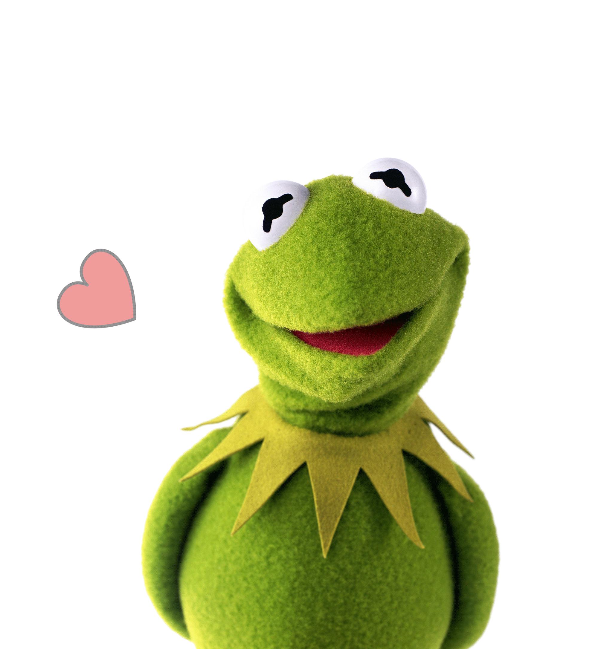 倪妮同款小猫咪,倪妮李宇春奇妙的动物