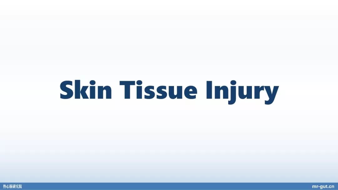 热心肠先生益生菌视频大全,热心肠先生全集