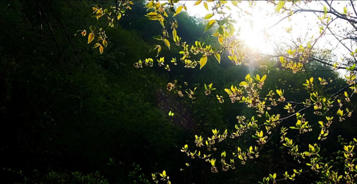 西安秦岭山下世外桃源,秦岭深处世外桃源图片