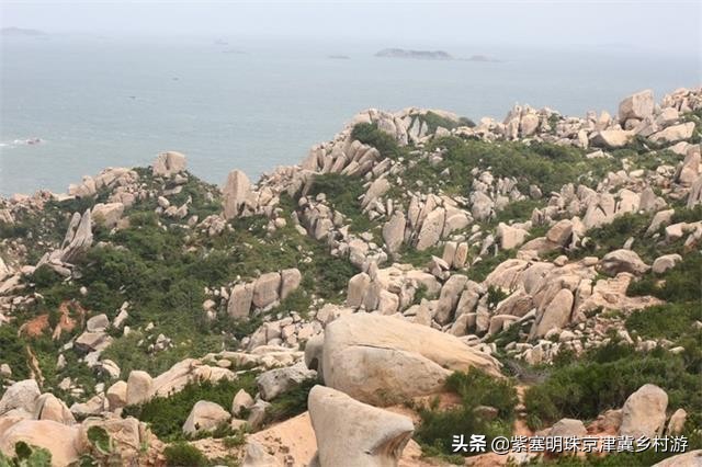 天津紫云水岸香草园在哪,天津市蓟州区紫云水岸草园