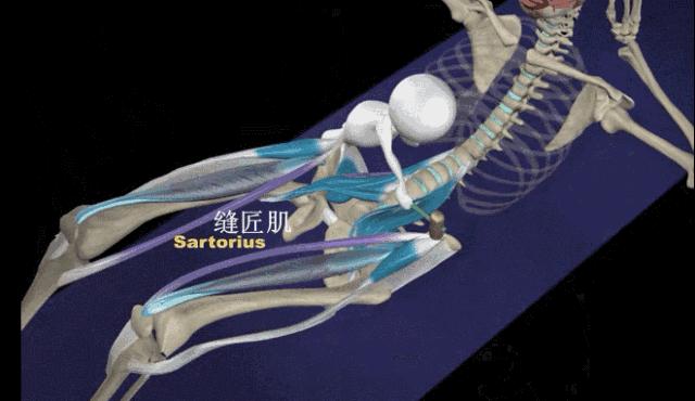 卷腹后腰痛是什么原因,健身操卷腹腰痛是怎么回事