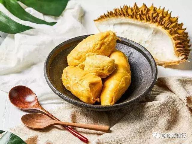 马来西亚落地免签,马来西亚落地签最新入境政策