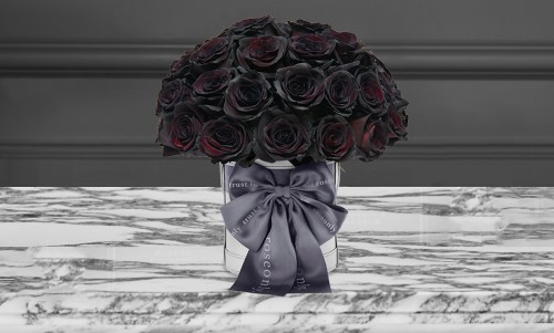 ROSEONLY不同颜色的玫瑰寓意不同，你送对了吗？