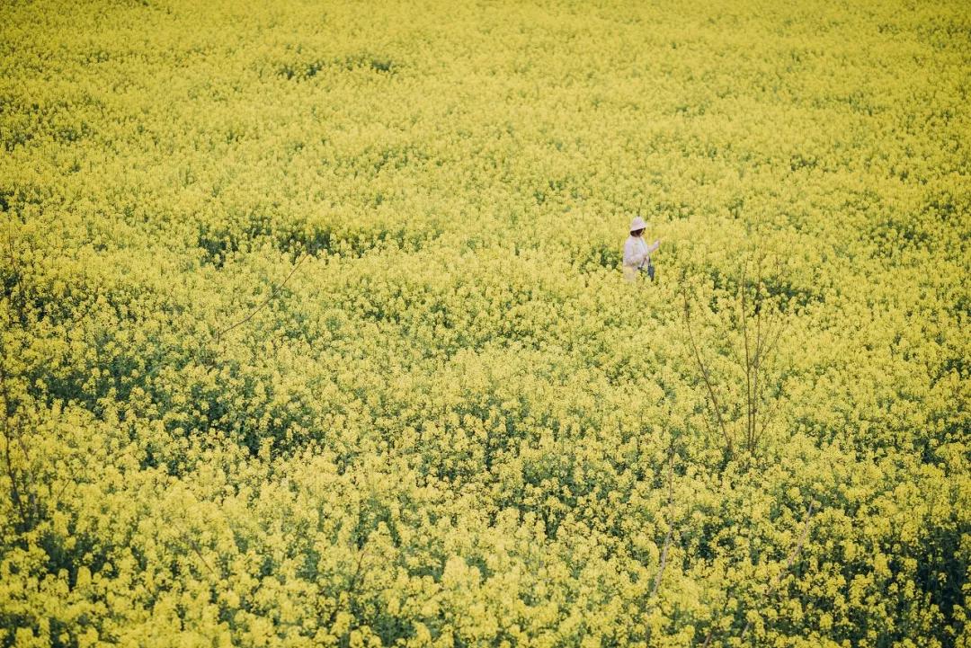 也太太太太太太太太美了吧！