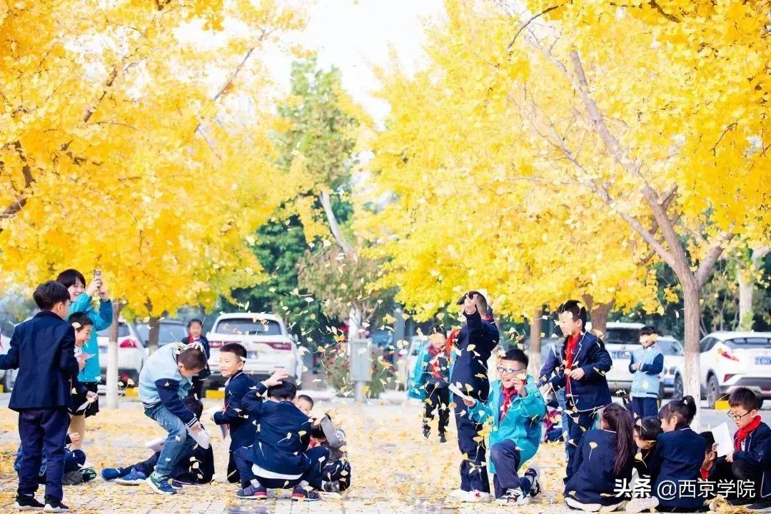 长安区西京小学教学质量怎么样,西京小学办学特色