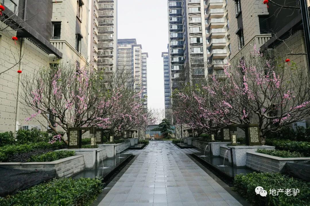 彰泰楼盘2024年交房,彰泰楼盘