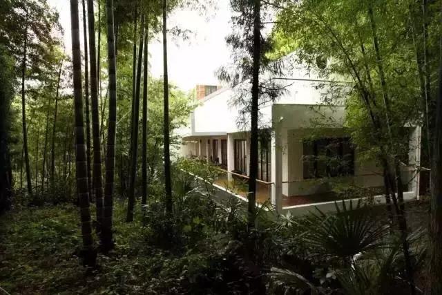 莫干山民宿很厉害吗,莫干山民宿推荐轻奢