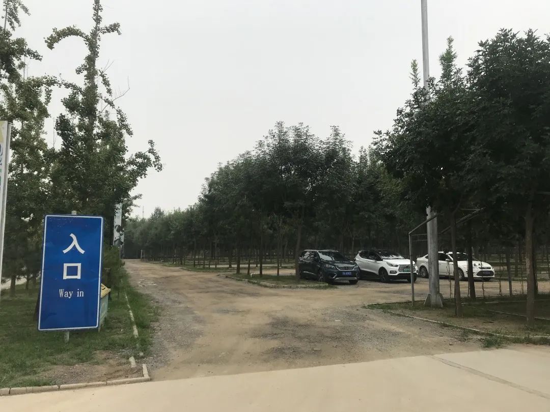 对付违停挡路,违停了找哪个部门核实