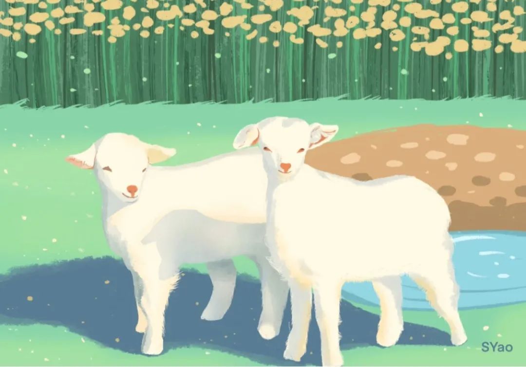 顺周期逆周期,顺周期复苏了吗