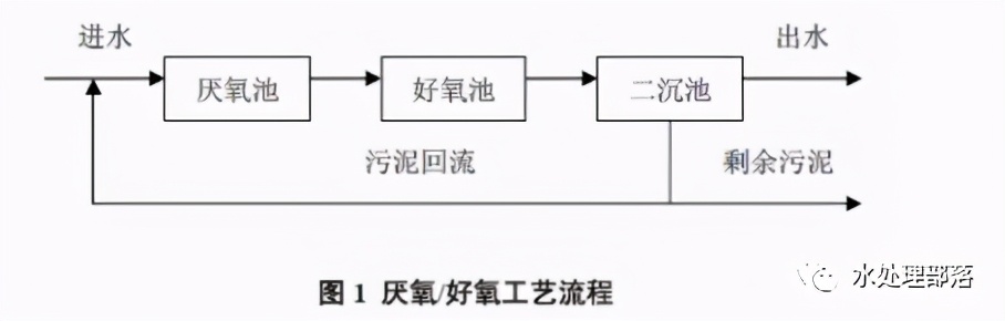 进来复习！一文读懂硝化反硝化