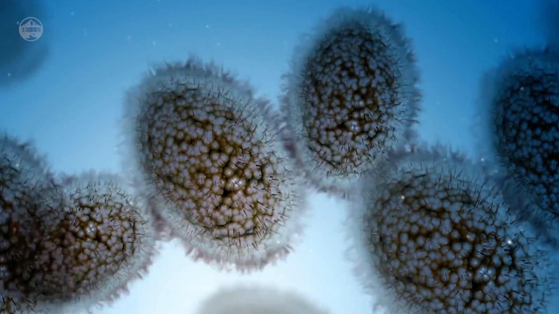 全球五到八年致命病毒,全球致命病毒以及致死人数