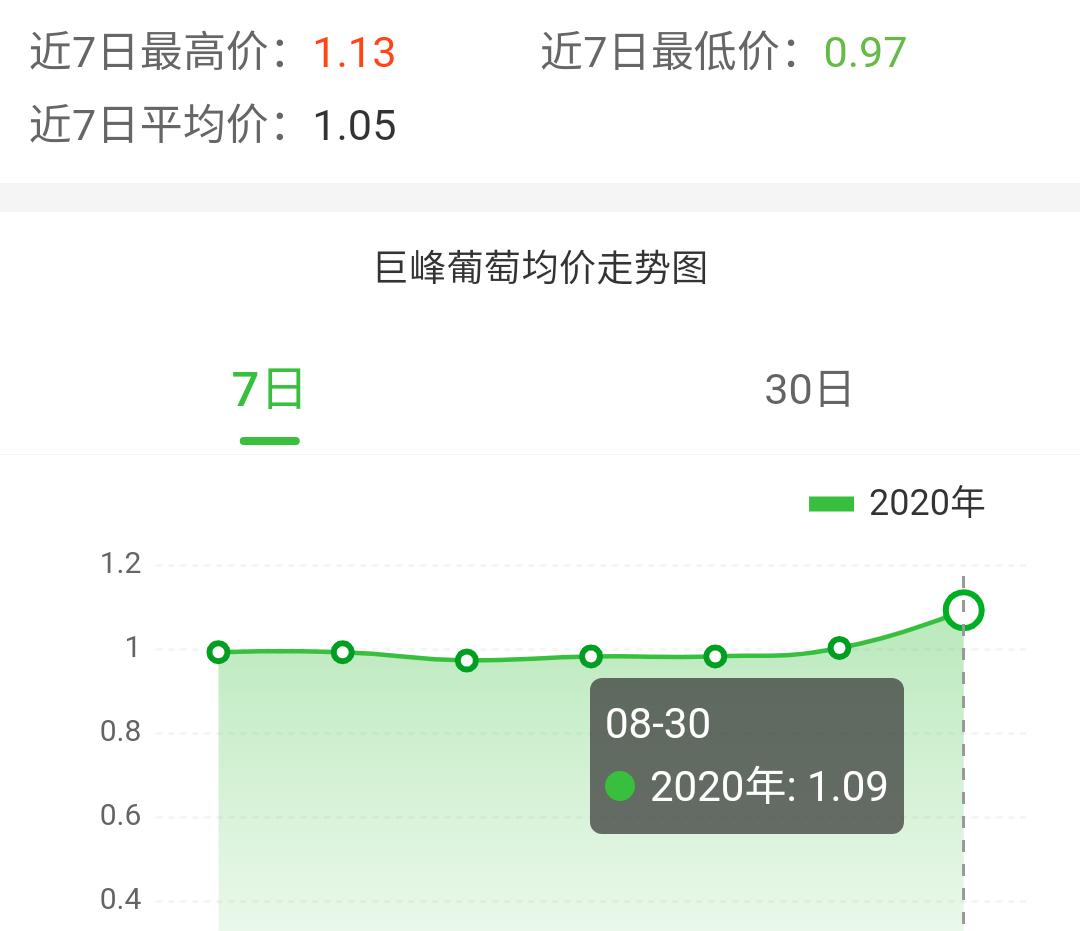 巨峰葡萄哪里有收购的,巨峰葡萄为什么还没结果