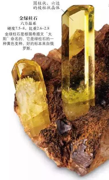 《DK博物大百科》上线啦！6.5折就可买到