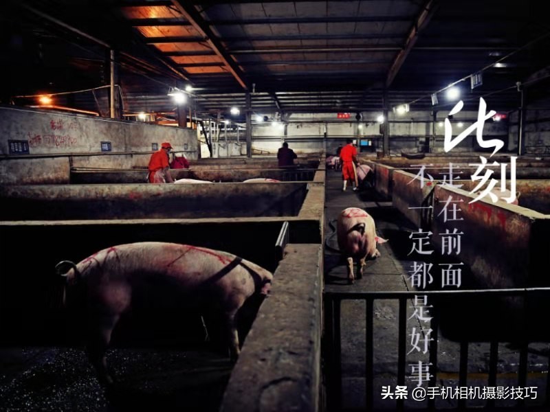 宅在家就可以拍的创意视频,宅在家拍大片