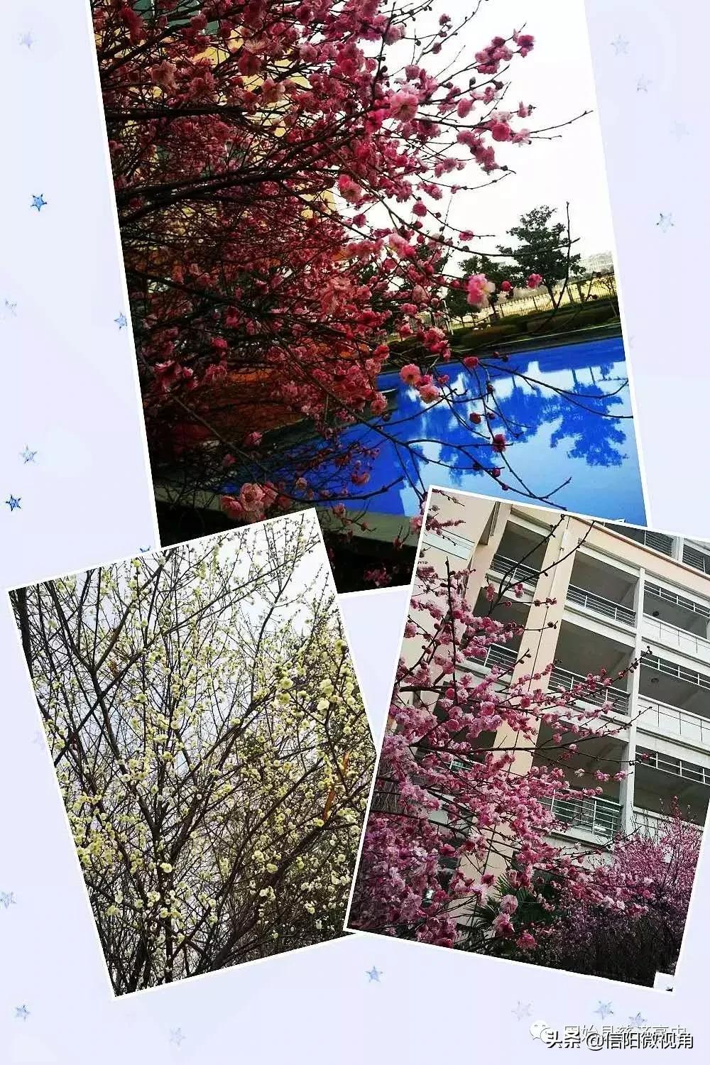 固始县慈济高中操场多大图,固始县慈济高中附近有啥好玩的