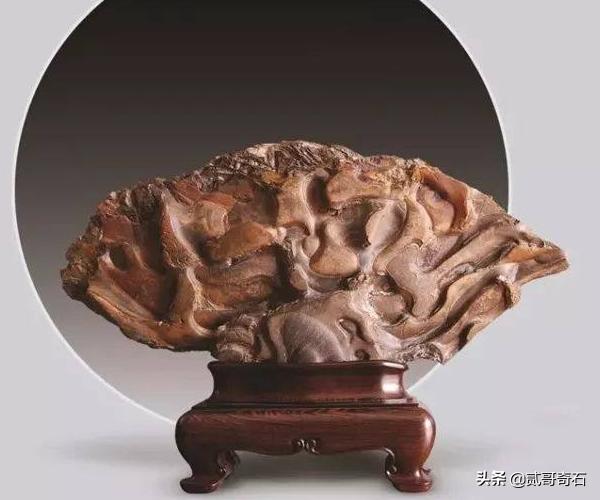 什么样的奇石好,什么样的奇石才值钱