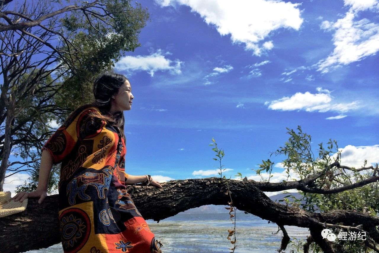 环海公路好看的图片,西南风景图片横图