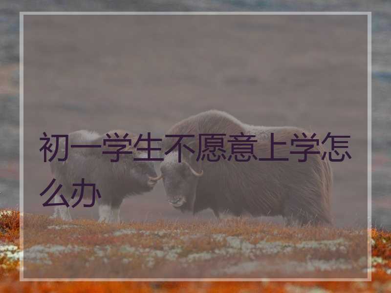 初中生不肯去上学怎么办,初中生厌学不上学怎么办