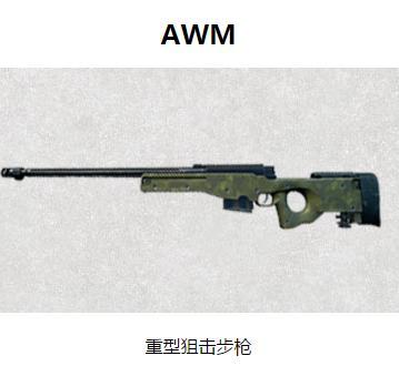 刺激战场awm是连狙吗,刺激战场awm能一枪死吗